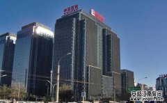 中国石油化学股份有限公司