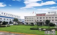 浙江华友钴业股份有限公司案例