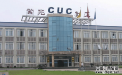 重庆紫光化工股份有限公司案例