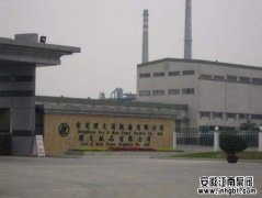 东莞理文造纸厂有限公司,耐酸碱泵,案例