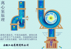 耐腐蚀离心泵结构图,工作原理GIF动画