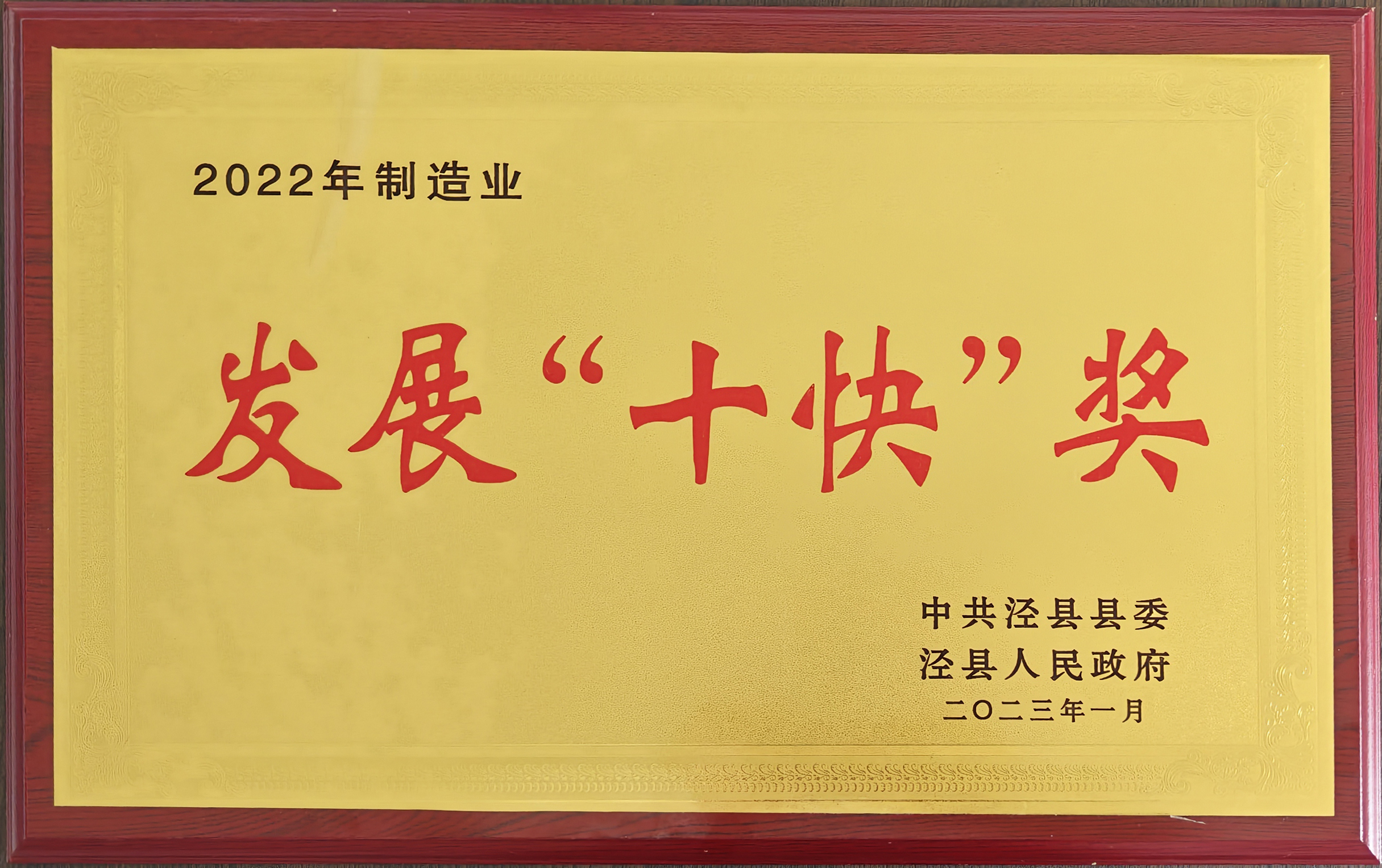 2022年制造业发展十快奖